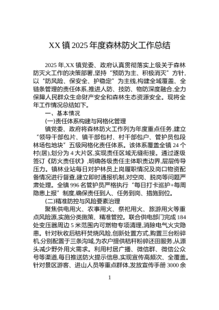XX镇2025年度森林防火工作总结