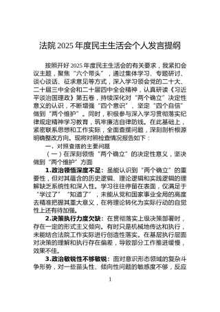 法院2025年度民主生活会个人发言提纲