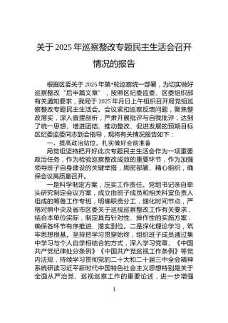 关于2025年巡察整改专题民主生活会召开情况的报告