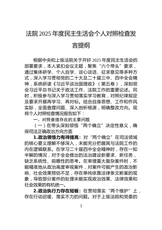 法院2025年度民主生活会个人对照检查发言提纲