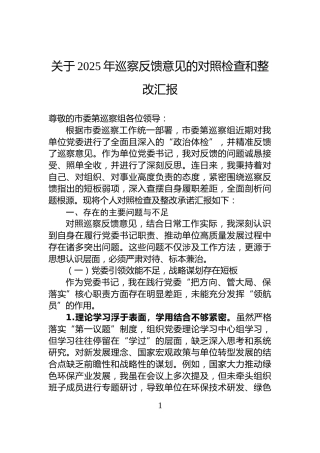 关于2025年巡察反馈意见的对照检查和整改汇报