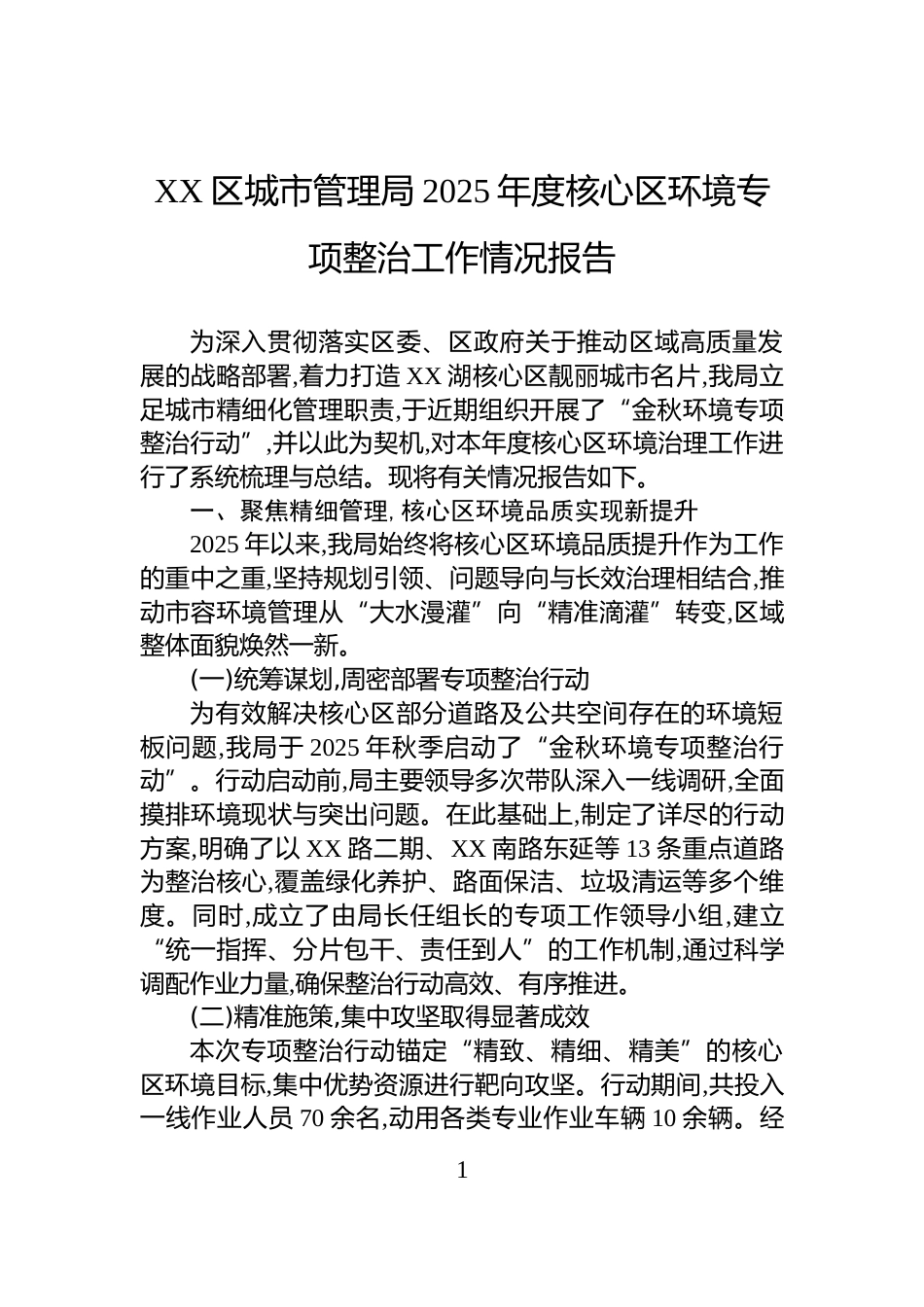 XX区城市管理局2025年度核心区环境专项整治工作情况报告_第1页