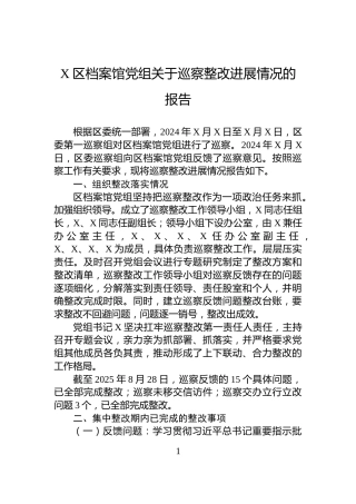 X区档案馆党组关于巡察整改进展情况的报告