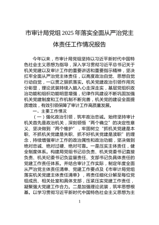 市审计局党组2025年落实全面从严治党主体责任工作情况报告