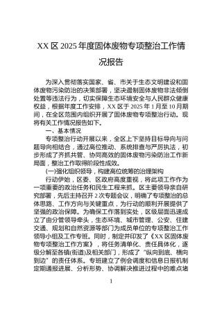XX区2025年度固体废物专项整治工作情况报告