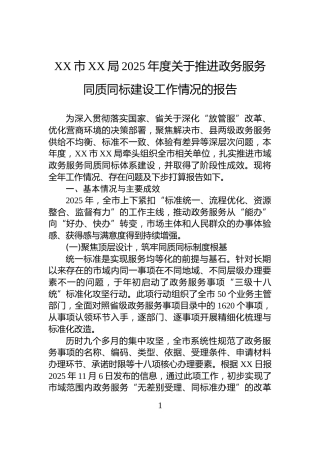 XX市XX局2025年度关于推进政务服务同质同标建设工作情况的报告