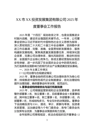 XX市XX投资发展集团有限公司2025年度董事会工作报告
