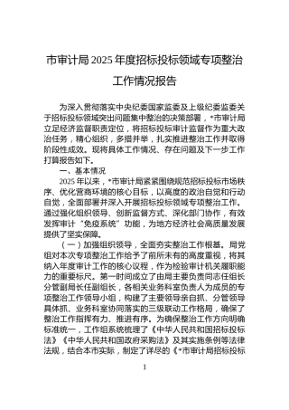 市审计局2025年度招标投标领域专项整治工作情况报告