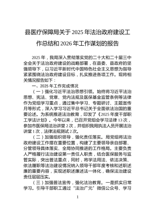 县医疗保障局关于2025年法治政府建设工作总结和2026年工作谋划的报告