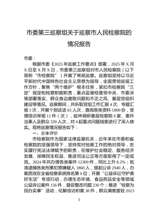 市委第三巡察组关于巡察市人民检察院的情况报告