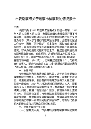市委巡察组关于巡察市检察院的情况报告
