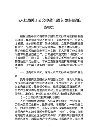 市人社局关于公文抄袭问题专项整治的自查报告