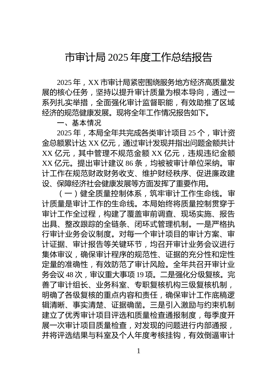 市审计局2025年度工作总结报告_第1页