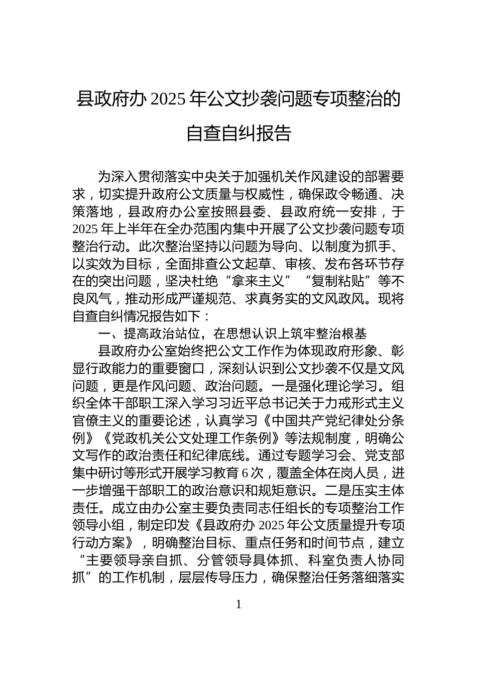 县政府办2025年公文抄袭问题专项整治的自查自纠报告_第1页
